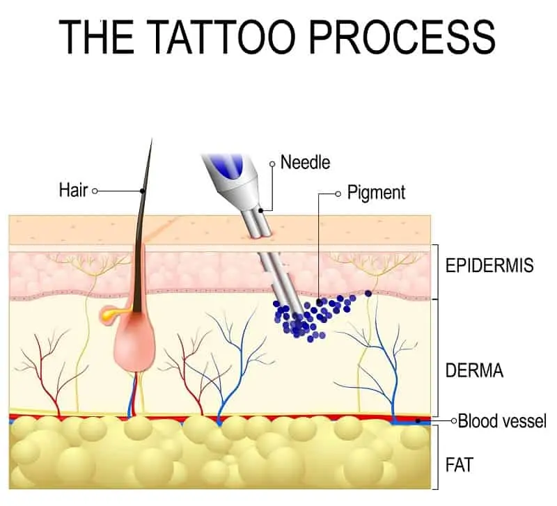 Profundidad aguja al tatuar